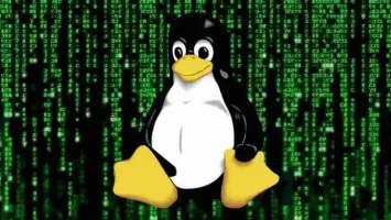 17 Yr Old RCE Flaw Can Hack Several Linux Systems  696x392 Esm H200