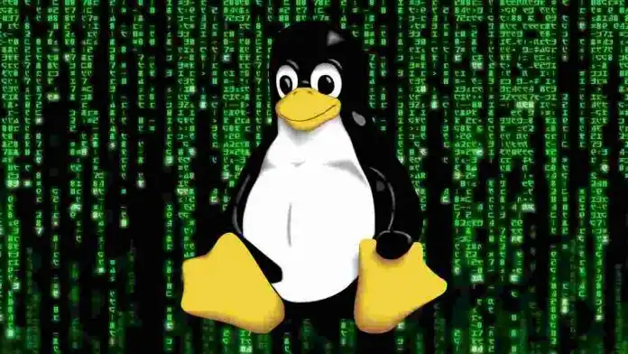 17 Yr Old RCE Flaw Can Hack Several Linux Systems  696x392