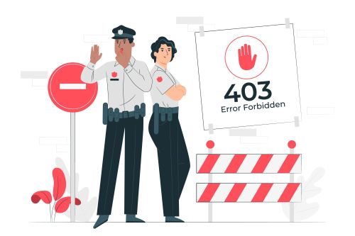 403 Error