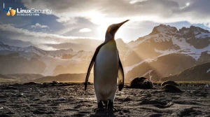 1.Penguin Landscape Esm W300