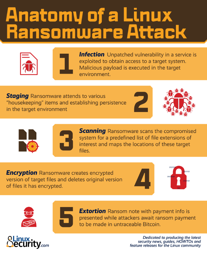 Linux Ransomware Infographic PNG