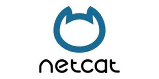 Netcat