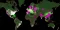 Ddos Botnet Globe Cyber Map Esm H30