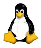 LinuxKernel Esm W138