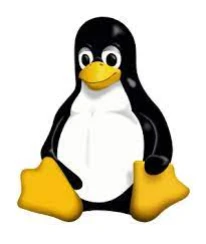 LinuxKernel Esm W206