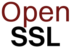 Openssl Logo