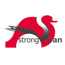 Strongswan