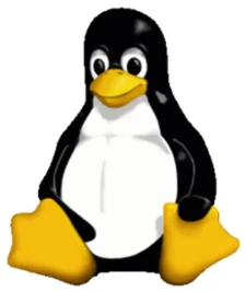 The advantages of using Linux