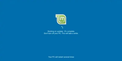 Mint Windows Update Screen Esm H200