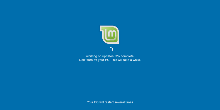 Mint Windows Update Screen