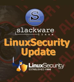 Slackware: openssh Unauthorized access vulnerability
