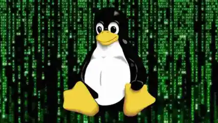17 Yr Old RCE Flaw Can Hack Several Linux Systems  696x392 Esm H240