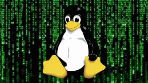 17 Yr Old RCE Flaw Can Hack Several Linux Systems  696x392 Esm H267