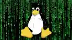 17 Yr Old RCE Flaw Can Hack Several Linux Systems  696x392 Esm H79