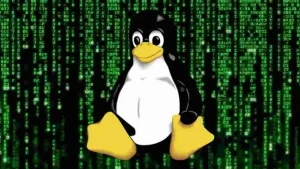 17 Yr Old RCE Flaw Can Hack Several Linux Systems  696x392 Esm W400