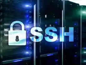 Ssh Esm H208