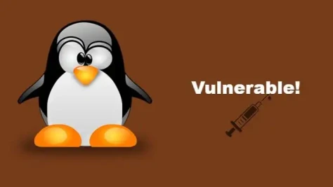 Beware Linux Users CVE 2019 12735 Vulnerability In Vim Or Neowim Editor Could Compromise Your Linux 696x392 Esm H267