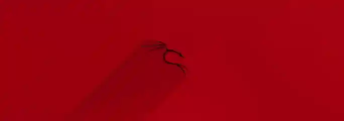 Kali Linux 2 Esm H240
