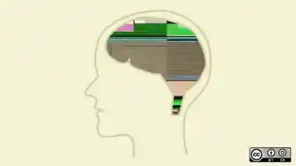 LAW Patents4abstract B Esm H240