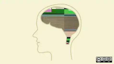 LAW Patents4abstract B Esm H267