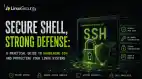 Linux Attackers Hiding Inside SSH Trusted System Hero Esm H79