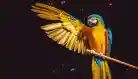 Parrot 49 Released A Kali Linux Alternate To Sharpen Ethical Hacking Lab 640x367 Esm H79