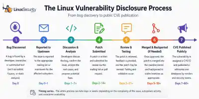 The Linux Vuln Disclosure Process Infographic Esm W400