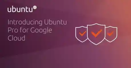 Ubuntu Pro Google Cloud Esm H240