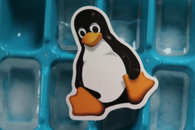 Ansible Linux Esm W400