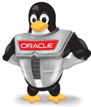 Oracle Esm W400