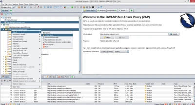 Owasp Zap Scansione Automatica Opzioni Elemento Esm W400