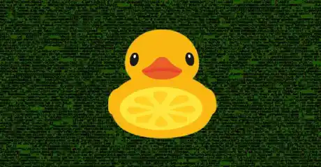 LemonDuckMalware Esm H240