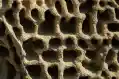 Holes E1629285466950 Esm H79