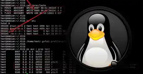 Linux Esm H240