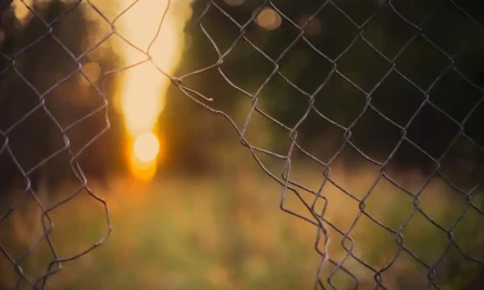 Fence Opening Network Vulnerability Esm H267