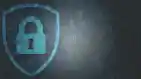 Sf Data Privacy Copy Esm H79