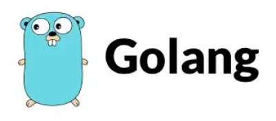Golang Esm W400