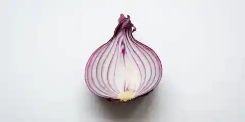 Use Tor Browser Linux Esm H240