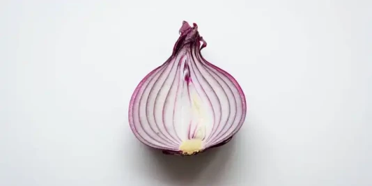 Use Tor Browser Linux Esm H267