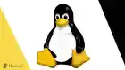 1595709026 1543611652 Tux Story Esm H79