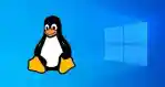 What S Pushing More And More Windows Users To Linux Esm H79