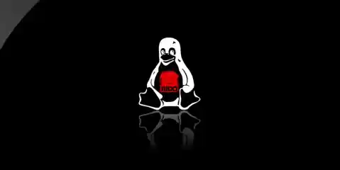 Linux Sudo Esm H240