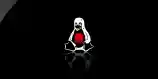 Linux Sudo Esm H79