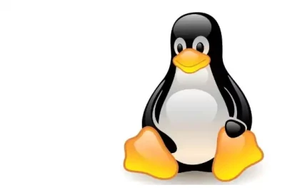 LinuxKernelBug Esm H267
