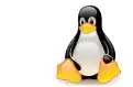 LinuxKernelBug Esm H79