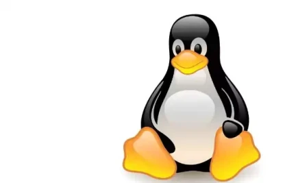 LinuxPatching Esm H267