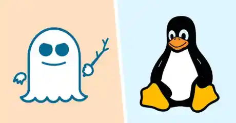 Spectre Linux Vulnerability Esm H240