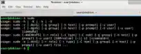 Critical Sudo Heap Overflow Vulnerability CVE-2021-3156 in Linux