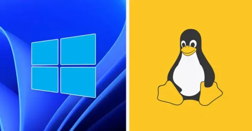 Windows Linux Hacking Esm H267