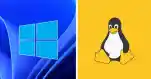 Exploring Local Privilege Escalation Risks In Linux And Windows Systems